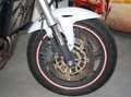 Honda CB 600 CB 600 F Bianco - thumbnail 14