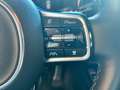 Kia Sorento 1.6 T-GDI Platinum LED bel.Sitze ACC AWD Gri - thumbnail 27