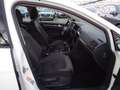 Volkswagen Golf 1.6 TDI 115CV 5p. Executive BMT Bianco - thumbnail 8
