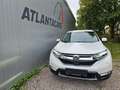 Honda CR-V 2.0 i-MMD HYBRID 2WD Elegance Weiß - thumbnail 2