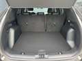 Ford Kuga 2.5 Duratec FHEV ST-Line X CVT+Panorama+AHK Gris - thumbnail 17