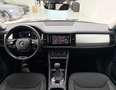 Skoda Kodiaq 2,0 TDI SCR 4x4 DSG AHK Matrix Standheizung Kam... Grau - thumbnail 13