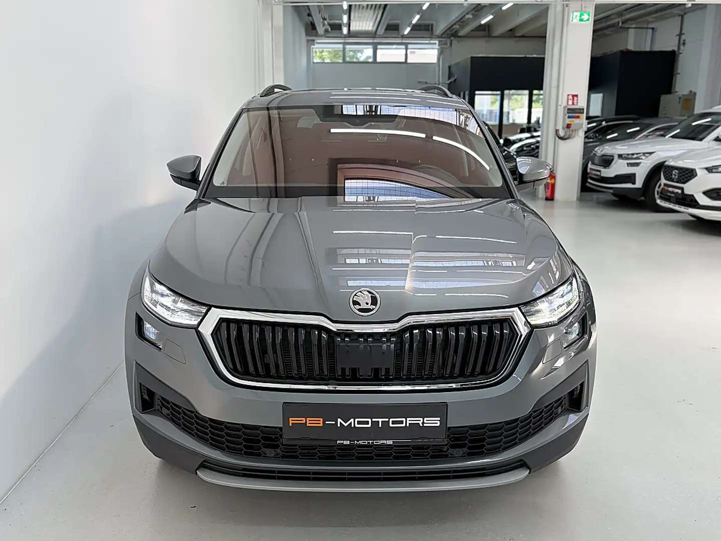 Skoda Kodiaq 2,0 TDI SCR 4x4 DSG AHK Matrix Standheizung Kam... Grau - 2