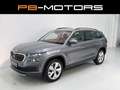Skoda Kodiaq 2,0 TDI SCR 4x4 DSG AHK Matrix Standheizung Kam... Grau - thumbnail 1