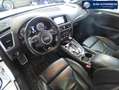 Audi SQ5 V6 3.0 TDI 326 CH COMPETITION Tiptronic 8 Quattro Bianco - thumbnail 6