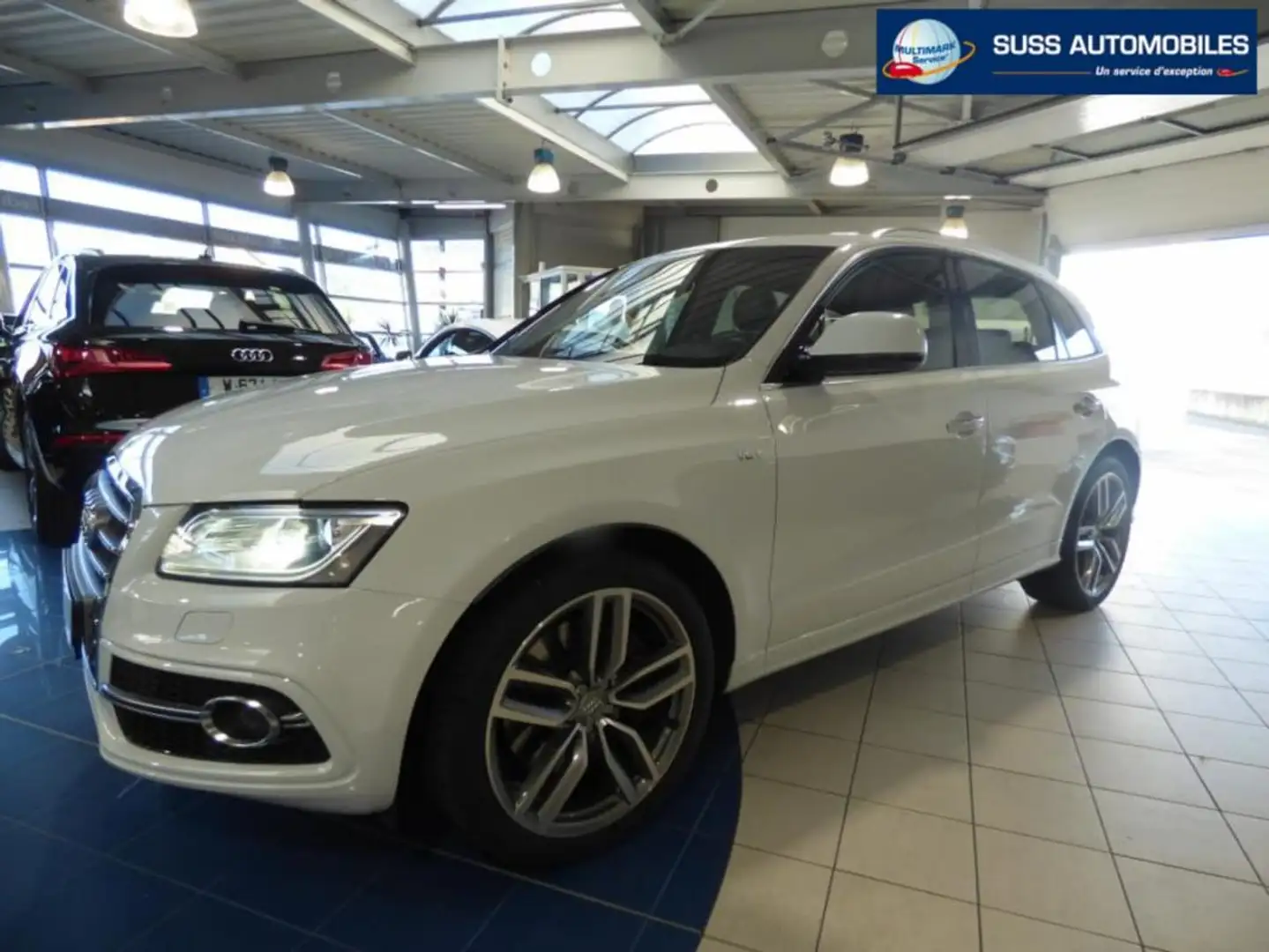 Audi SQ5 V6 3.0 TDI 326 CH COMPETITION Tiptronic 8 Quattro Bianco - 1