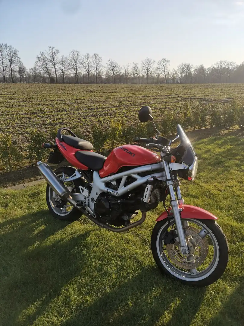 Suzuki SV 650 Red - 1
