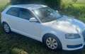 Audi A3 A3 1.6 tdi Ambiente - thumbnail 3