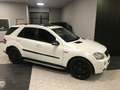 Mercedes-Benz ML 500 387 CV BIANCO PERLA CARBON LOOK “ PACK 63 AMG “ Weiß - thumbnail 13