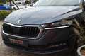 Skoda Octavia Combi 1.4 TSI iV Business Edition LED/Carplay/18'' Gris - thumbnail 24