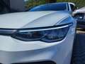 Volkswagen Golf 2.0 TDI 150 CV DSG Life Blanc - thumbnail 12