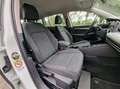 Volkswagen Golf Variant 1.0 eTSI Life|Digi-dash|110PK|DSG|Automaat|Adaptie Blanco - thumbnail 6