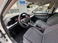 Volkswagen Golf Variant 1.0 eTSI Life|Digi-dash|110PK|DSG|Automaat|Adaptie Blanco - thumbnail 4