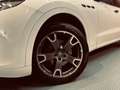 Maserati Levante Diesel Bianco - thumbnail 7