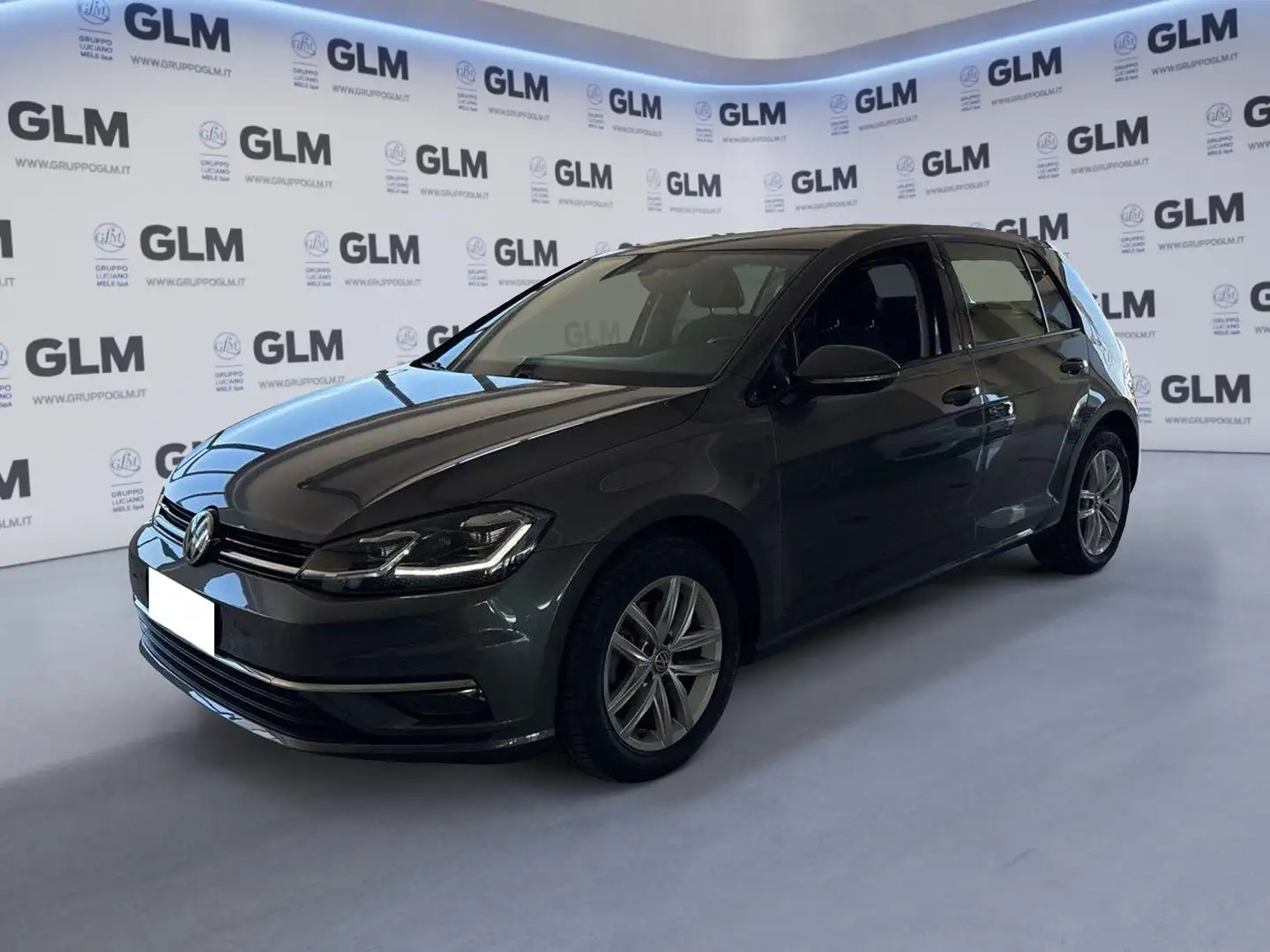 Volkswagen Golf 1.6 TDI 115 CV 5p. Business BlueMotion Technology Grigio - 1