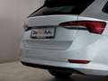 Skoda Octavia 4x4 Ambition TDI DSG Silber - thumbnail 8