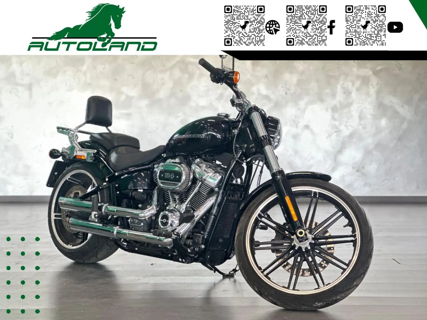Harley-Davidson Lowrider ST Ottime Condizioni*Finanziabile Negro - 2