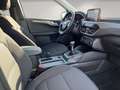 Ford Kuga Titanium 1.5 elek. Heckklappe/ACC/Sitzheizung/Navi Bianco - thumbnail 15