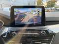 Ford Kuga Titanium 1.5 elek. Heckklappe/ACC/Sitzheizung/Navi Bianco - thumbnail 16