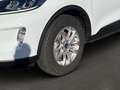 Ford Kuga Titanium 1.5 elek. Heckklappe/ACC/Sitzheizung/Navi Bianco - thumbnail 7