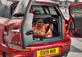 MINI Cooper Clubman Aut. (4.75) Rojo - thumbnail 19