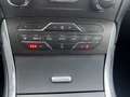 Ford Galaxy 2.0 TDCi Aut. Titanium 7-Sitzer PDC Grijs - thumbnail 22