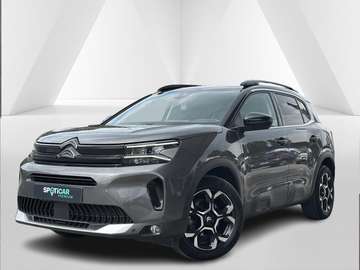 Max Hybrid 145cv