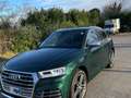 Audi SQ5 3.0 tfsi Business quattro 354cv tiptronic Yeşil - thumbnail 1