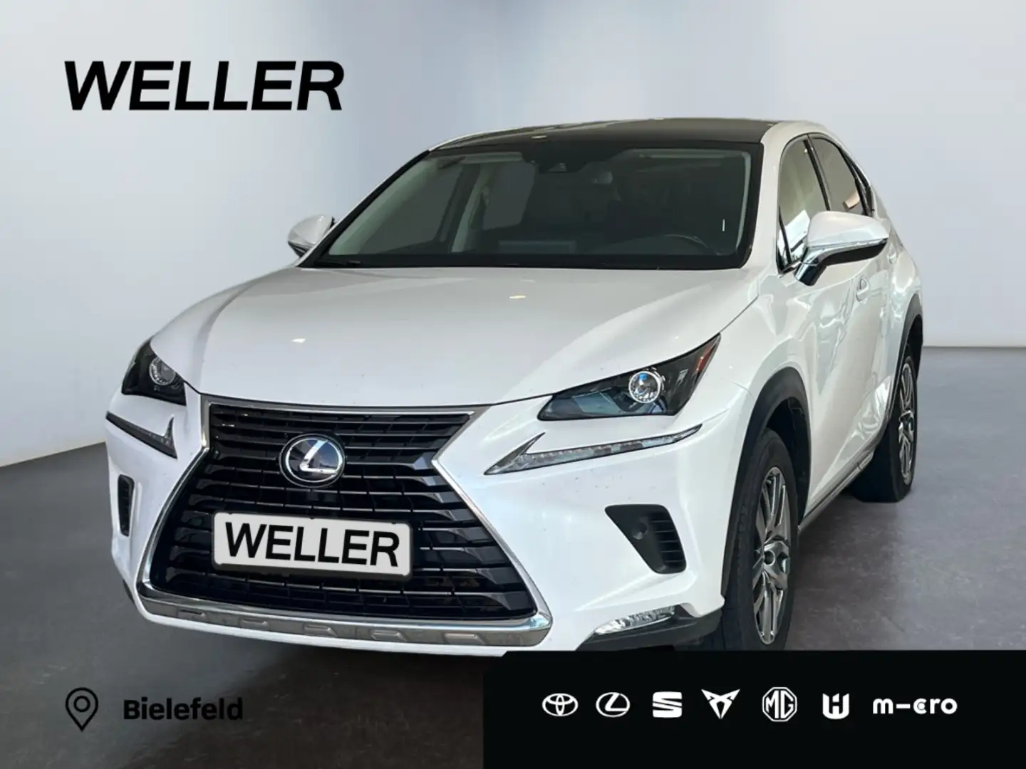 Lexus NX 300h Executive Line *Bi-LED*ACC*RCAM*SHZ*PDC* Weiß - 1