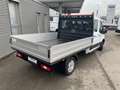 Ford Transit Pritsche Trend DK L3H1 130PS Diesel Alb - thumbnail 3
