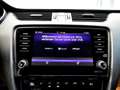 Skoda Octavia Premium Edition Standheizung,LED Grau - thumbnail 12