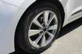 Hyundai i20 5p 1.1 crdi Go! Plus 75cv Bianco - thumbnail 7