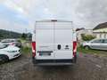 Fiat Ducato Ducato 33 L2H2 130 GR-Kombi Weiß - thumbnail 5