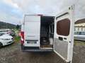 Fiat Ducato Ducato 33 L2H2 130 GR-Kombi Weiß - thumbnail 6