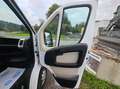 Fiat Ducato Ducato 33 L2H2 130 GR-Kombi Weiß - thumbnail 11