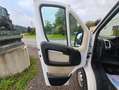 Fiat Ducato Ducato 33 L2H2 130 GR-Kombi Weiß - thumbnail 9