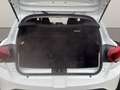 Dacia Sandero III 1.0 TCe 100 LPG GStepway Comfort AHK Weiß - thumbnail 18