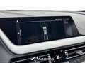 BMW 118 118d 150 CV Automatica 5 Porte Business Advantage Grigio - thumbnail 15