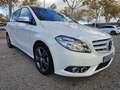 Mercedes-Benz B 180 180d Blanco - thumbnail 7