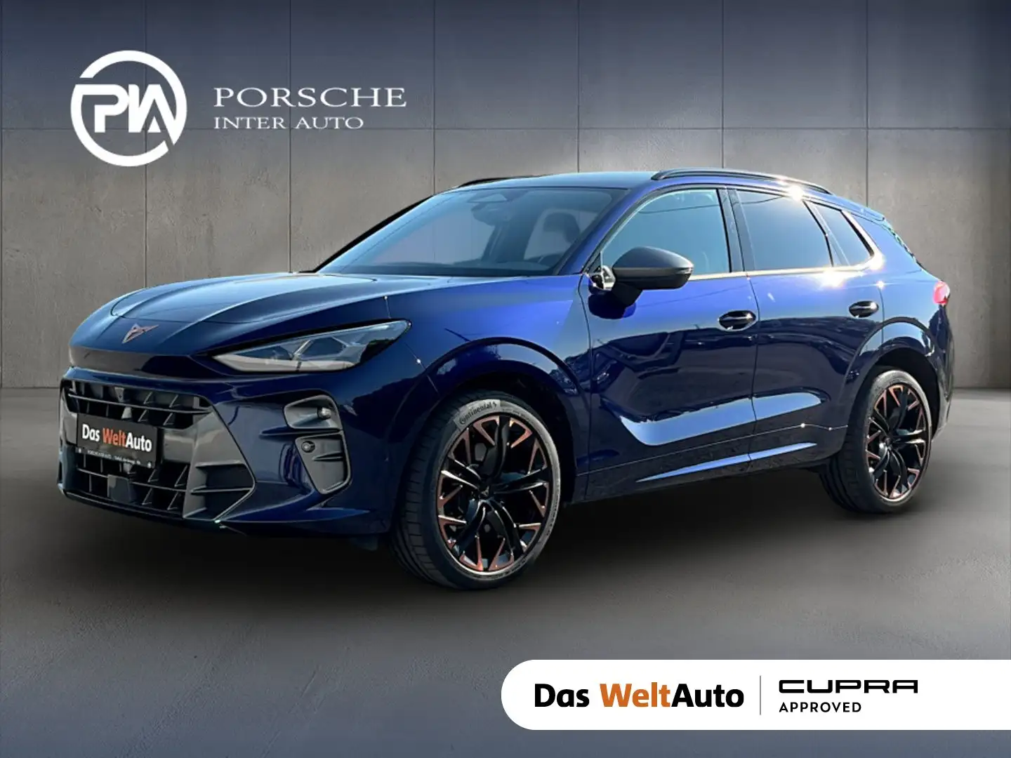 CUPRA Terramar VZ 2.0 TSI 265 PS DSG 4Drive Blau - 1
