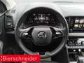Skoda Karoq 1.5 TSI DSG Selection ACC LED PDC Grau - thumbnail 13