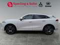 GWM WEY 05 WEY 05 Luxury mit Sitzpaket , Glasschiebedach Weiß - thumbnail 9