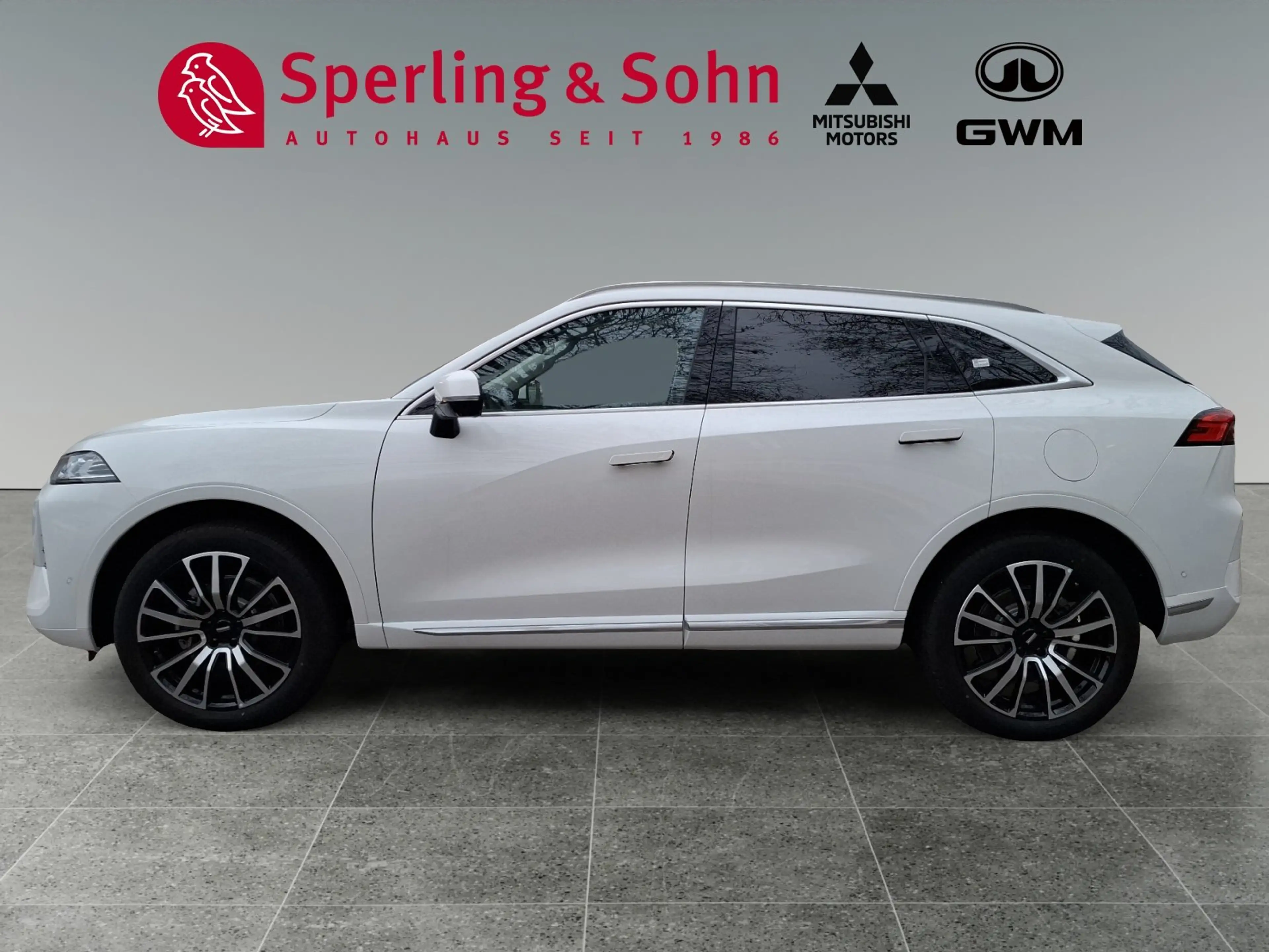 GWM WEY 05 WEY 05 Premium AWD mit Anhängerkupplung — photo 9
