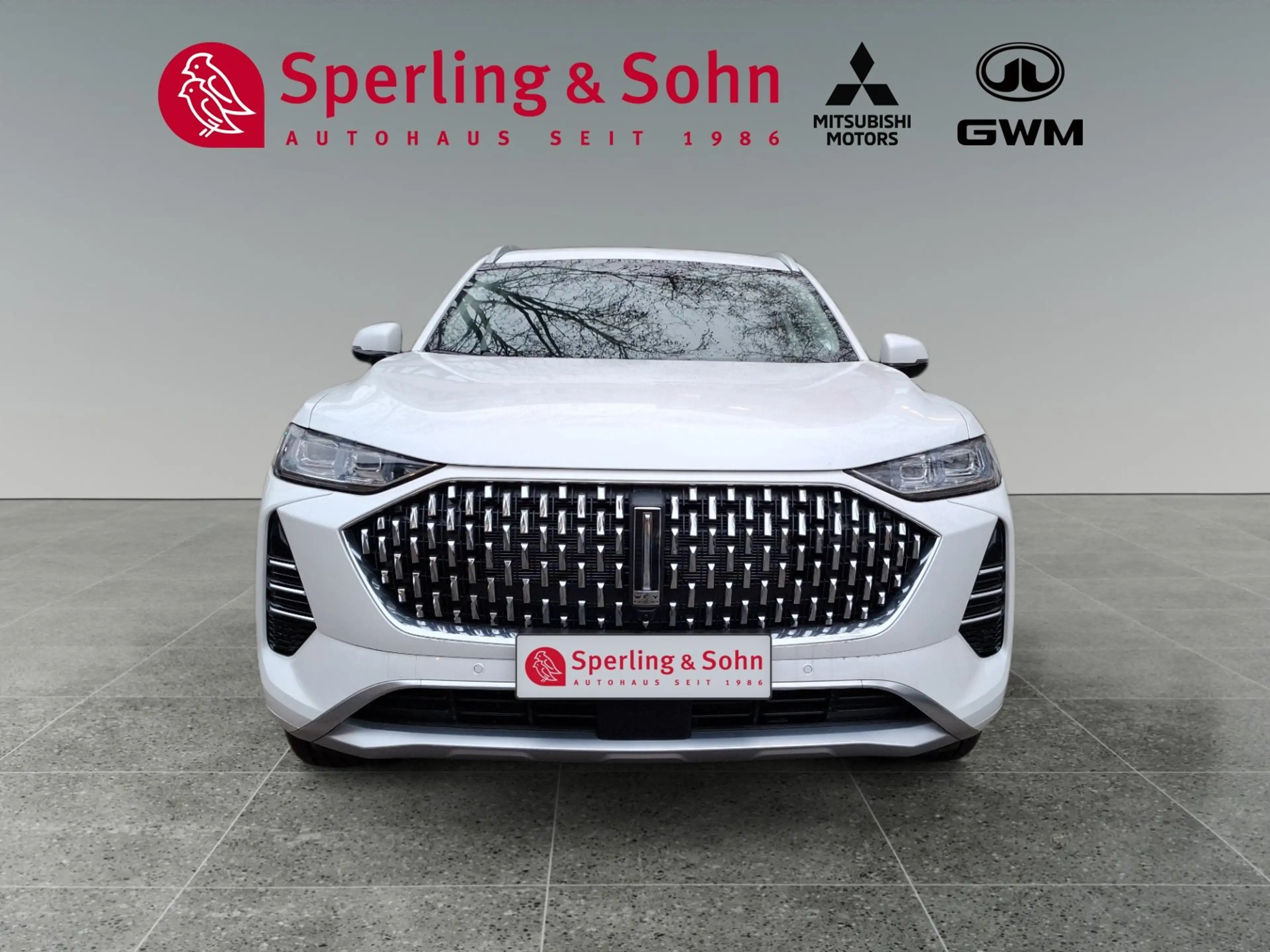 GWM WEY 05 WEY 05 Premium AWD mit Anhängerkupplung — photo 7