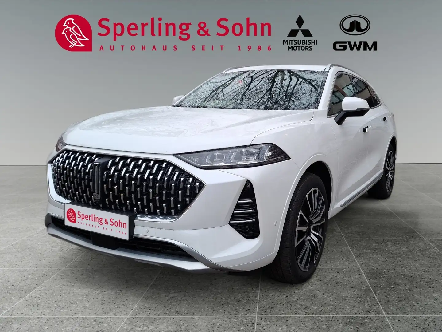 GWM WEY 05 WEY 05 Luxury mit Sitzpaket , Glasschiebedach Weiß - 1