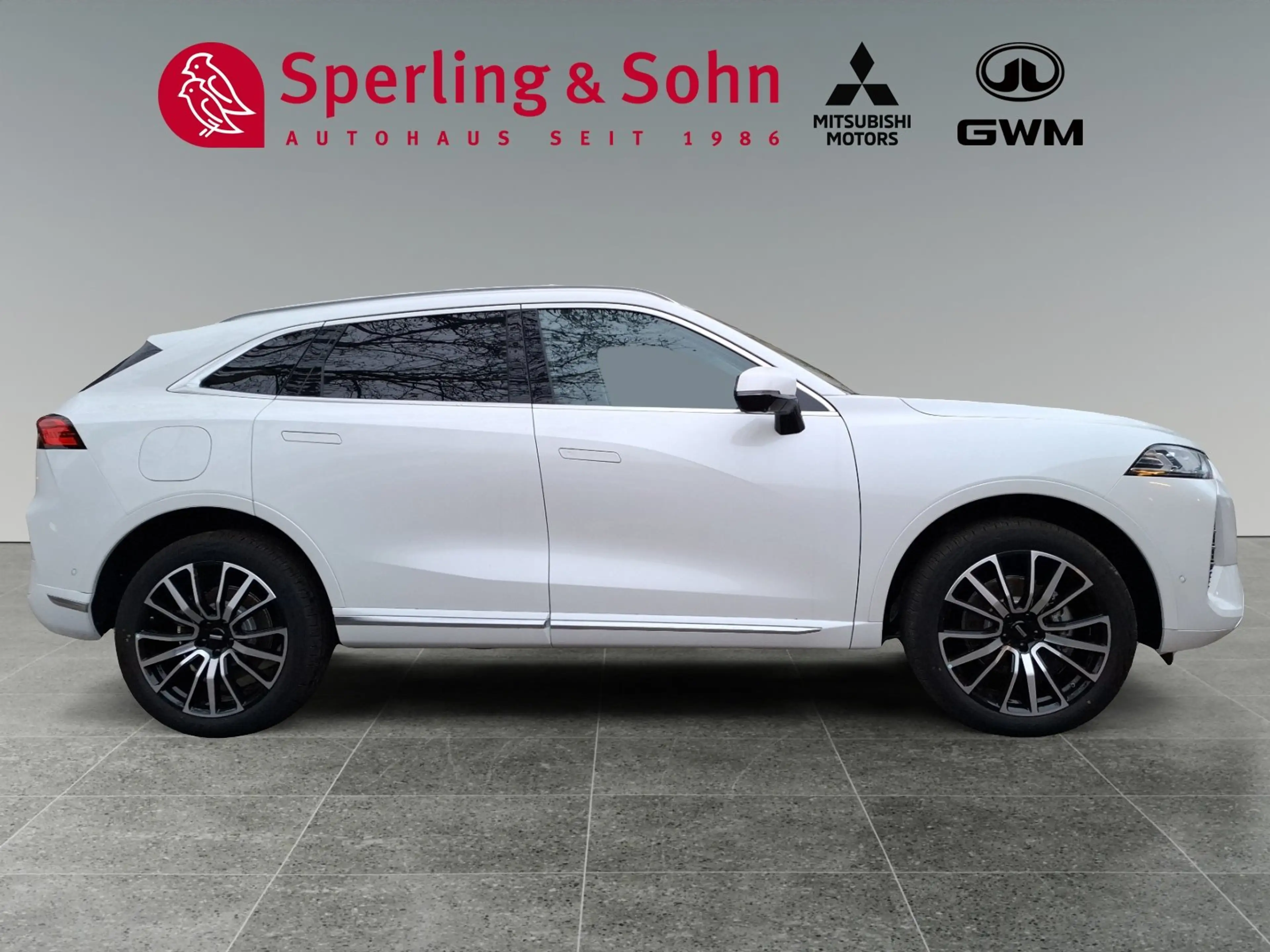 GWM WEY 05 WEY 05 Premium AWD mit Anhängerkupplung — photo 3