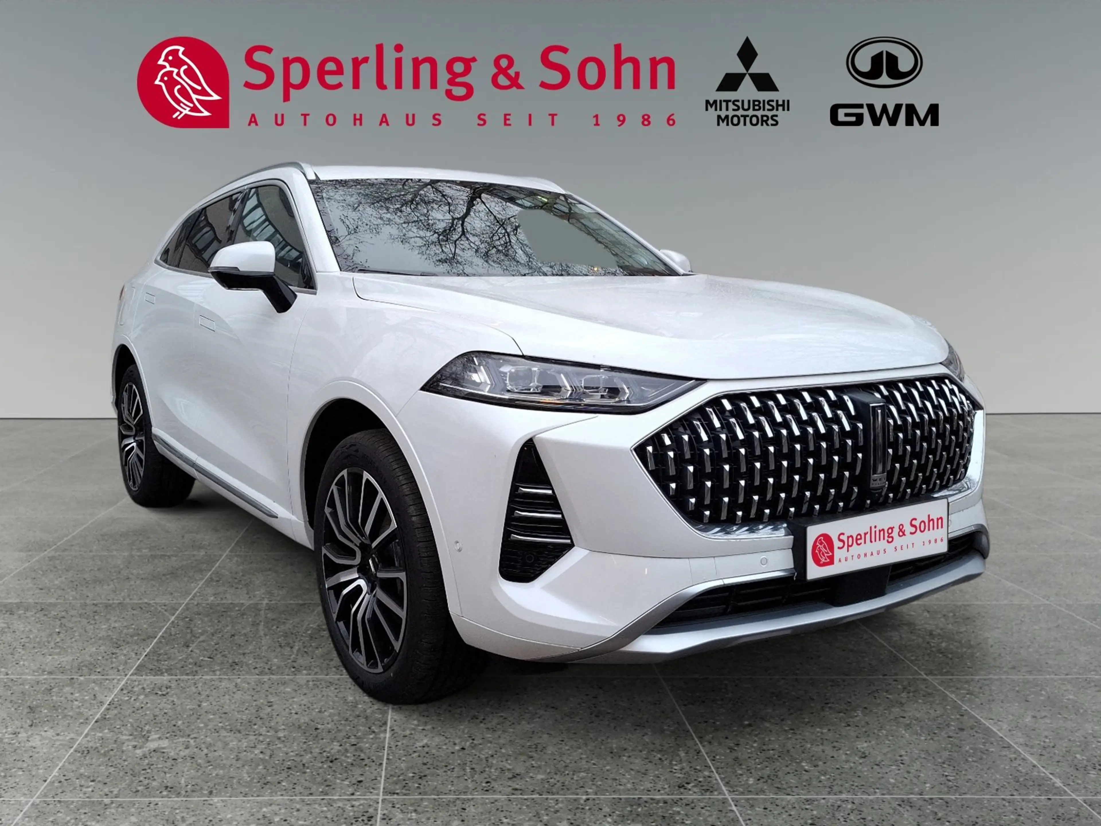 GWM WEY 05 WEY 05 Premium AWD mit Anhängerkupplung — photo 8