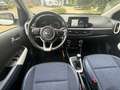 Kia Picanto 1.0 CVVT Design Edition 24.000 KM Wit - thumbnail 4