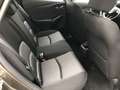 Mazda CX-3 SKYACTIV-G 120 FWD Prime-Line Allwetter Klima Grey - thumbnail 6