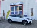 Peugeot 3008 1.5 Bluehdi 130cv GT Line EAT8-TETTO-PELLE-R19- Blanco - thumbnail 4
